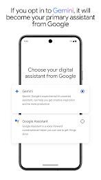 Google Gemini Screenshot 3