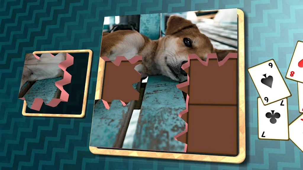 Jigsaw Solitaire - Dogs应用截图第0张
