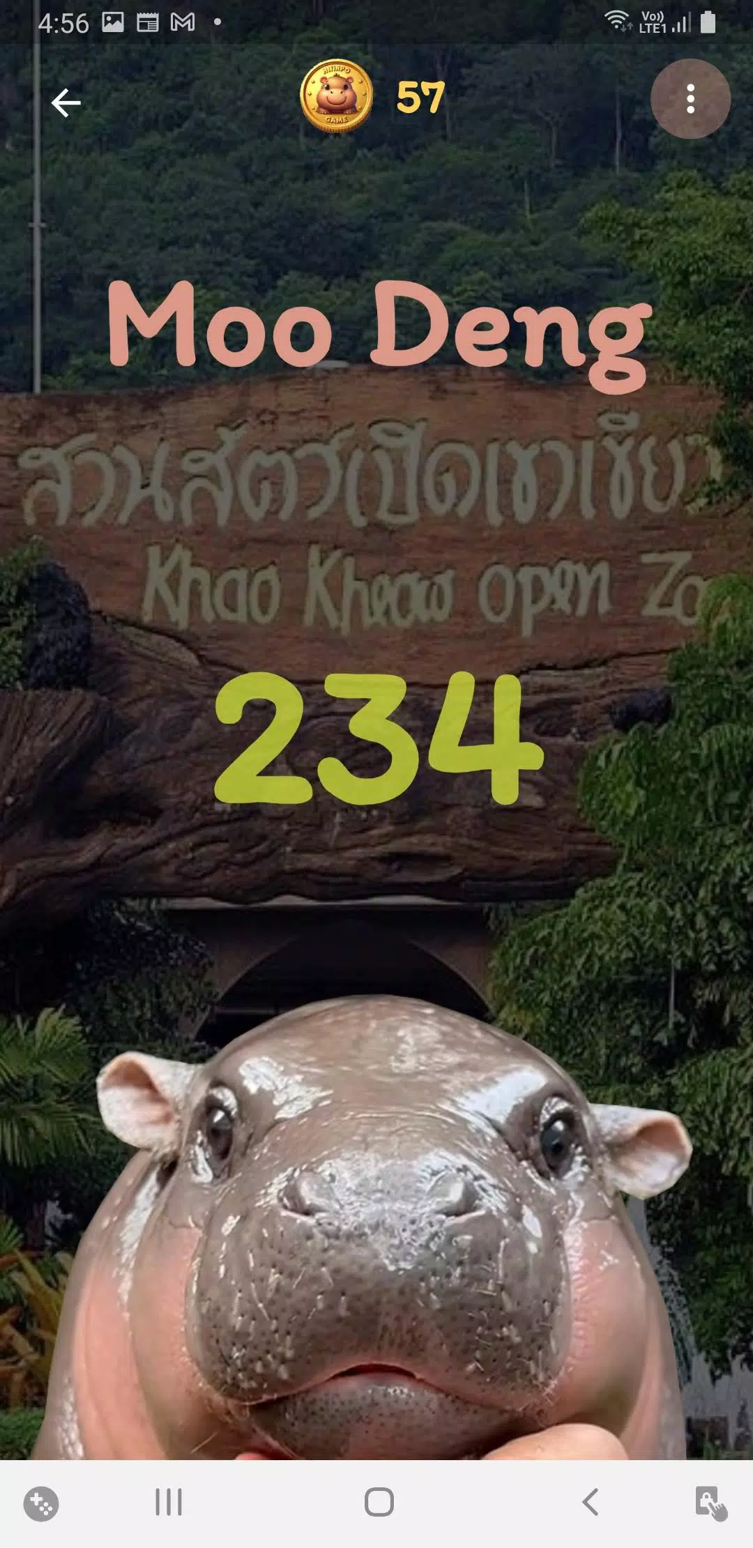 Moo Deng Скриншот 2