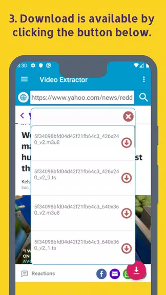 Video Extractor Captura de pantalla 3