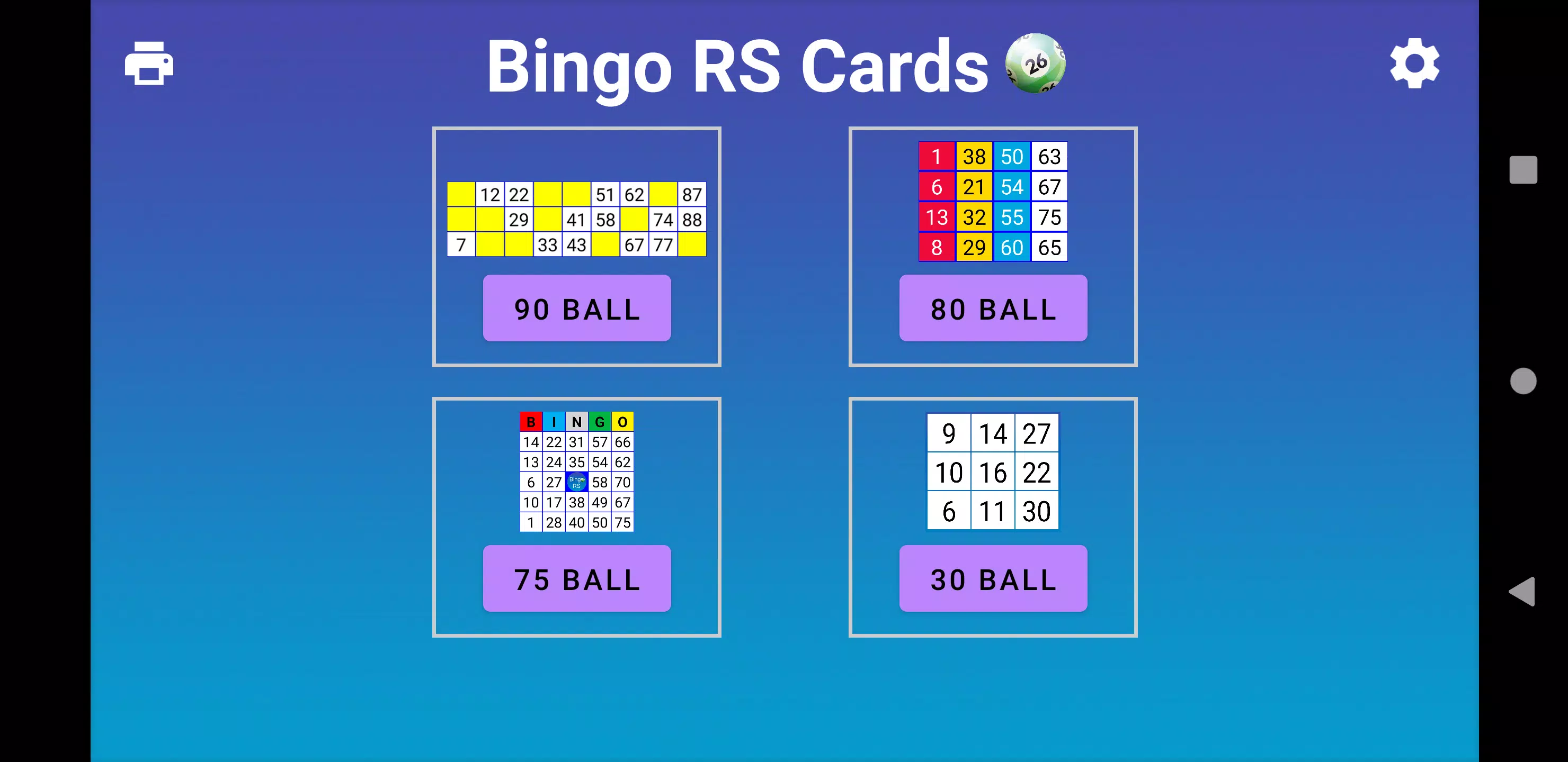 Schermata Bingo RS Cards 0