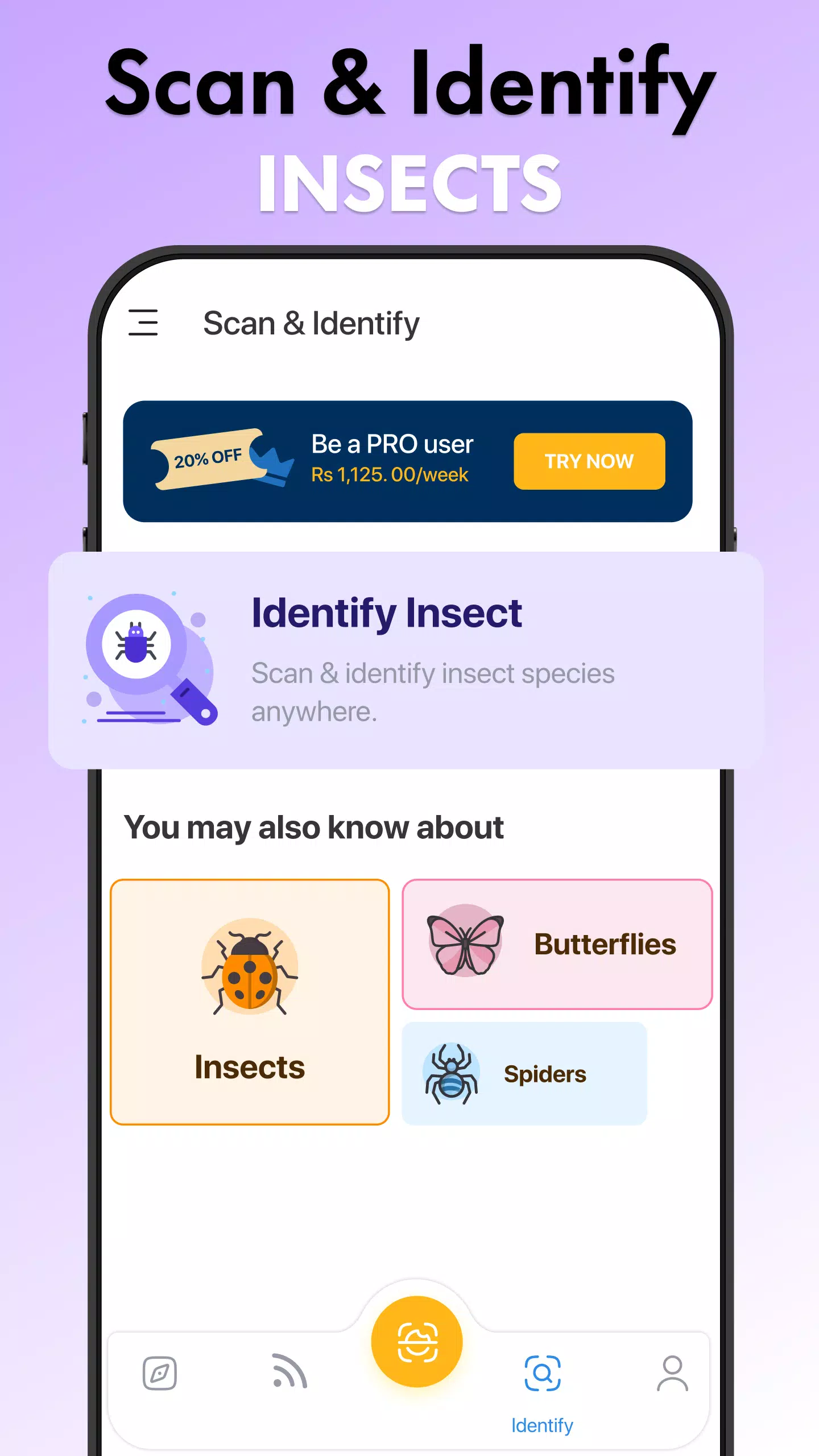 Insect Identifier Bug Identify应用截图第3张