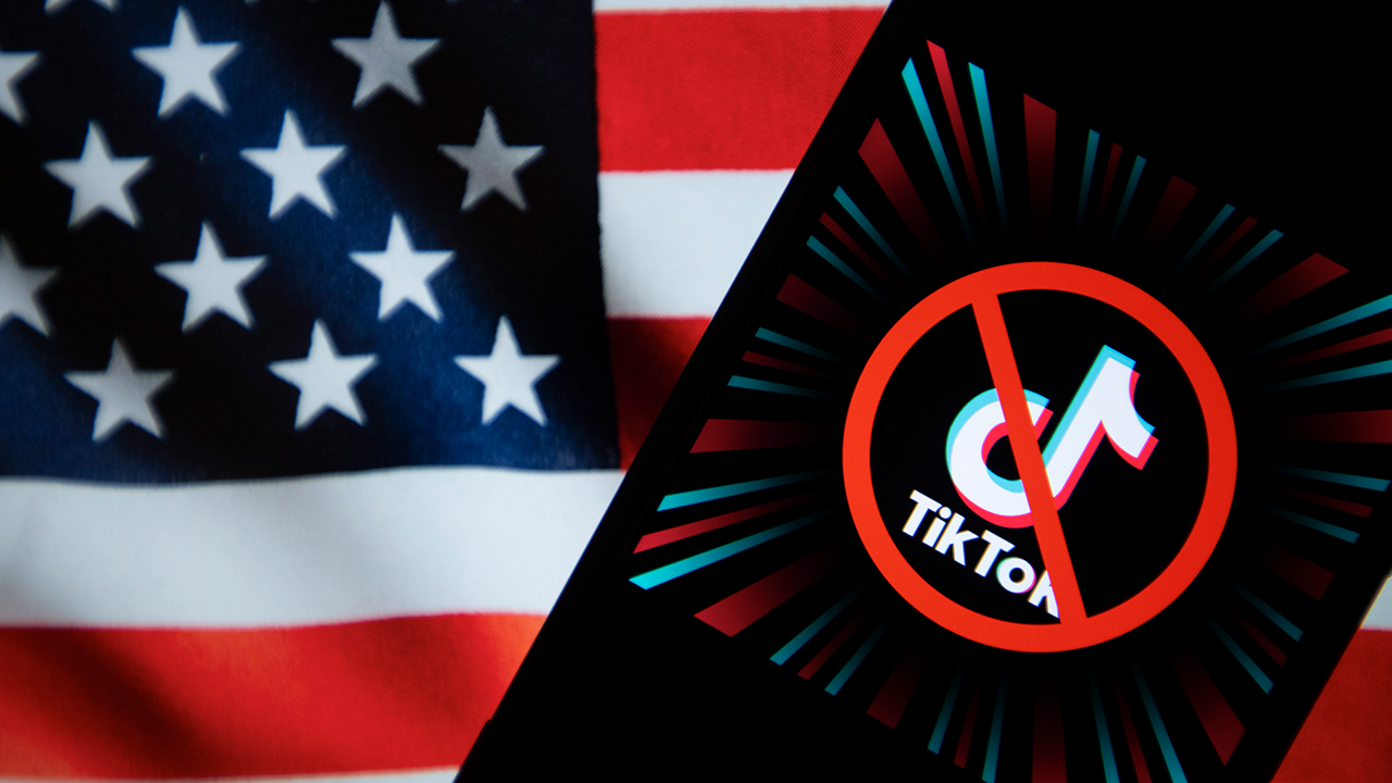 TikTok Ban Image