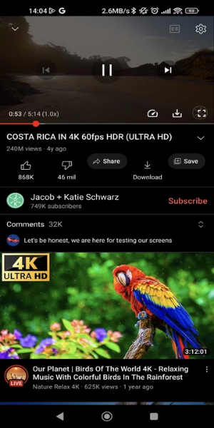 YouTube ReVanced Extended スクリーンショット 2