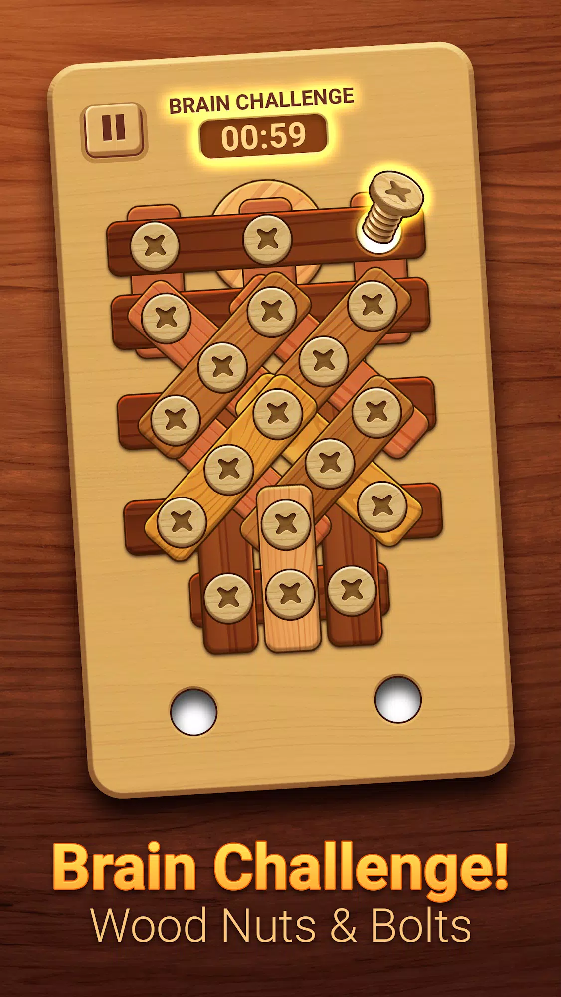 Woodle - Wood Screw Puzzle應用截圖第2張