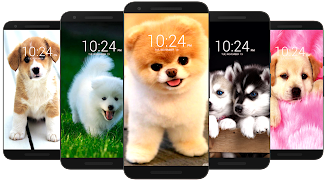 Dog Wallpaper HD スクリーンショット 0