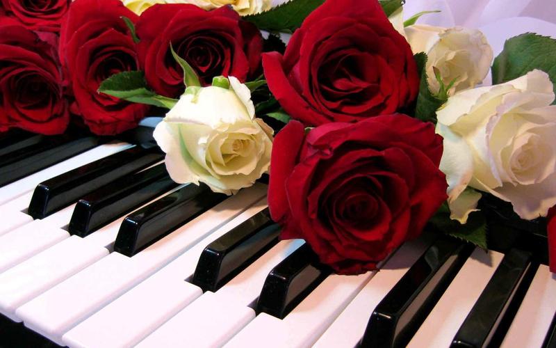 Roses Jigsaw Puzzles ภาพหน้าจอ 3