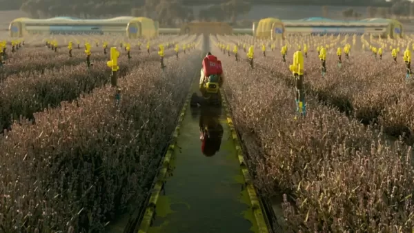 Los rumores de Marathon F2P se disiparon, los precios se anunciarán este verano