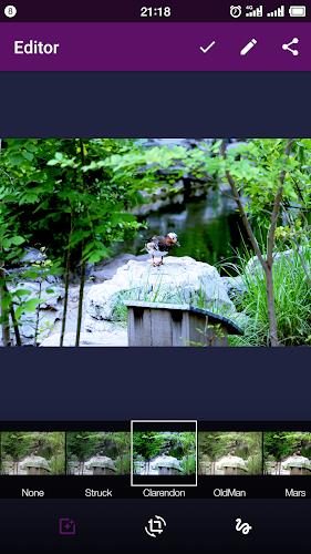 Smart Gallery - Photo Manager應用截圖第2張