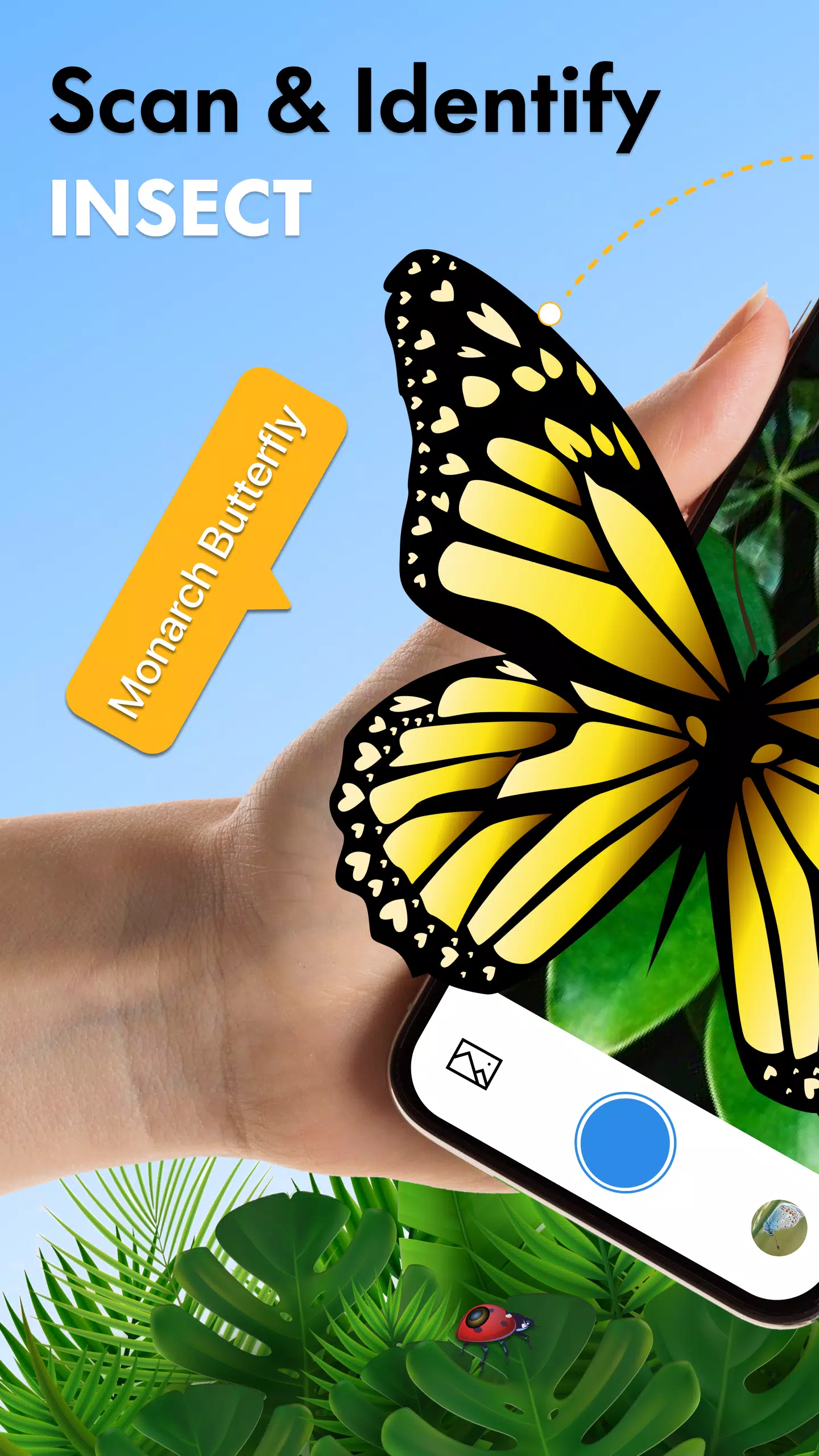 Insect Identifier Bug Identify应用截图第0张