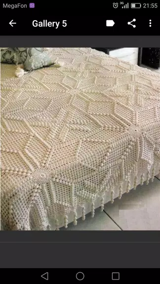 Crochet Blanket Patterns应用截图第2张