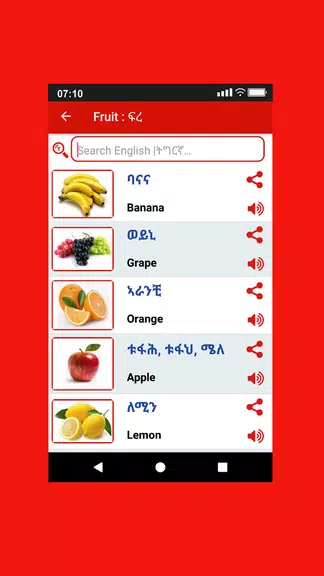Tigrinya Word Book應用截圖第3張