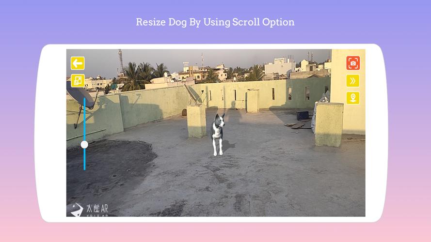 Dog play Ar Captura de pantalla 2