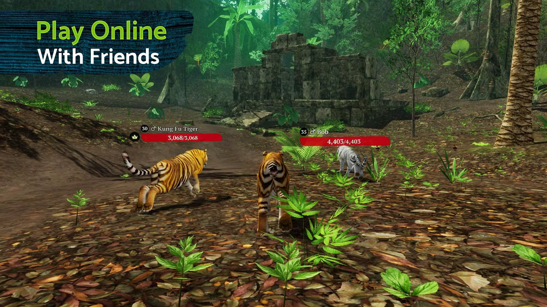 The Tiger应用截图第1张