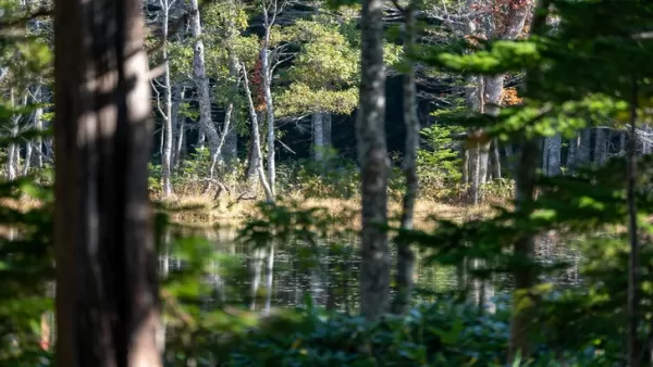 Ghost of Yotei se déroulant à Hokkaido pour son sens du danger et de la beauté