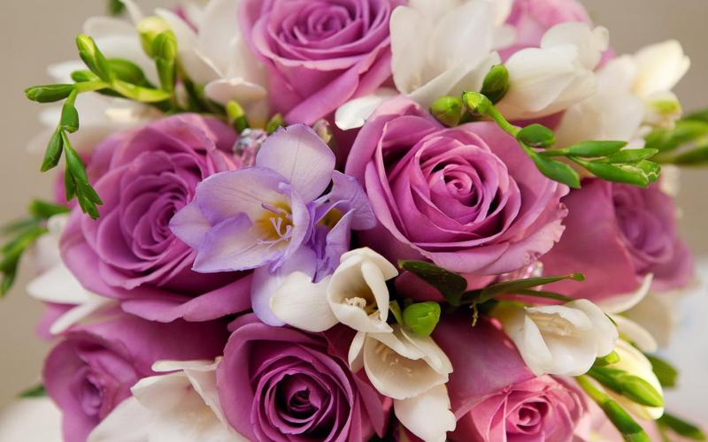 Roses Jigsaw Puzzles ภาพหน้าจอ 1