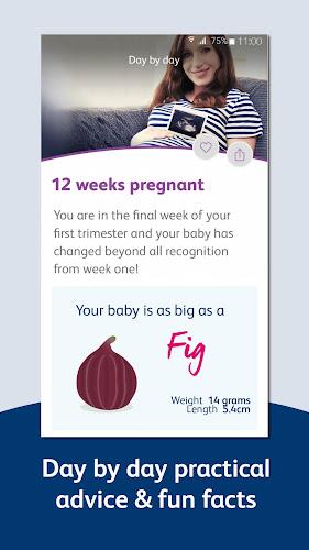 Bounty - Pregnancy & Baby App Скриншот 2