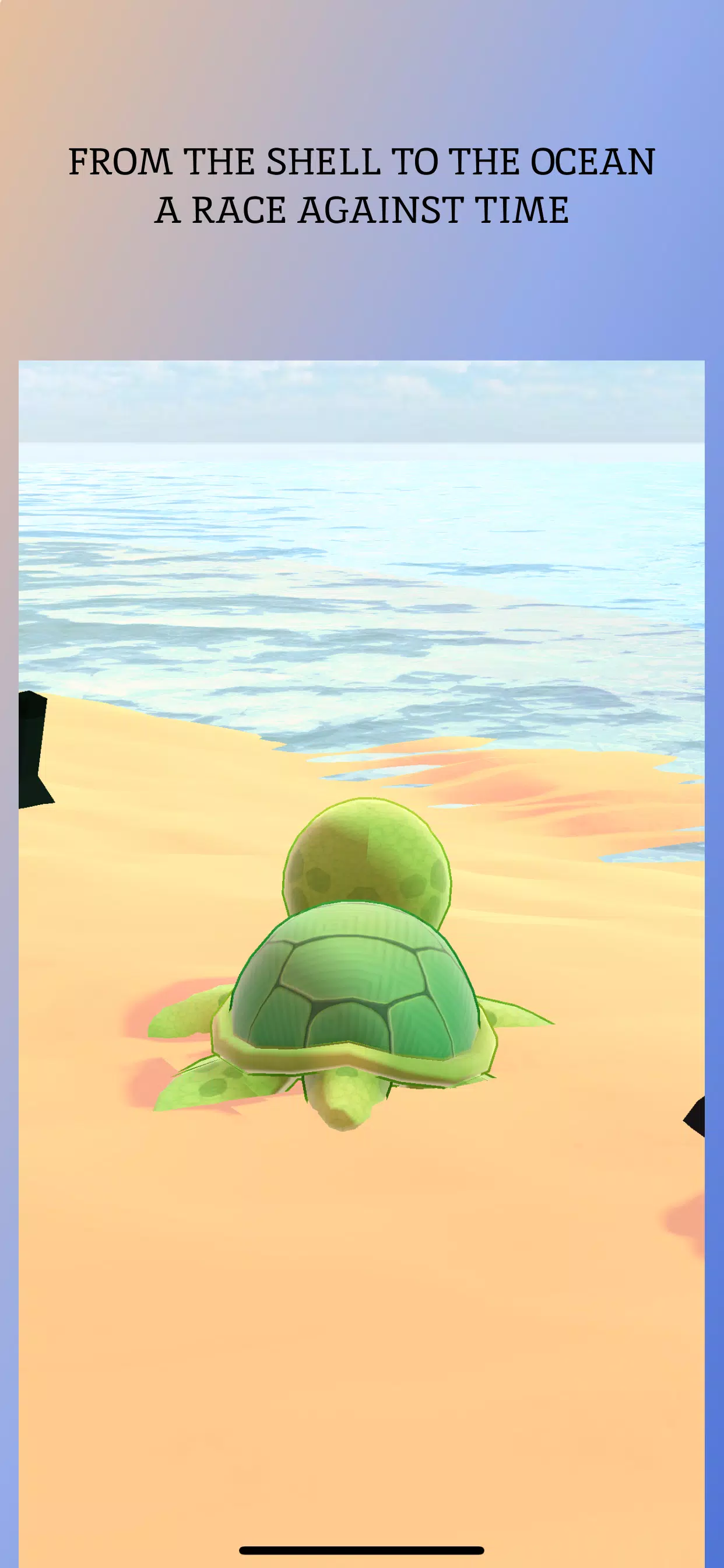 Schermata Turtle Beach 1