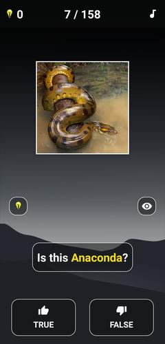 Animal Quiz: Guess the Animal應用截圖第2張