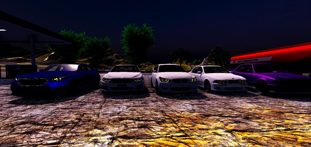 Driving Simulator BMW应用截图第0张