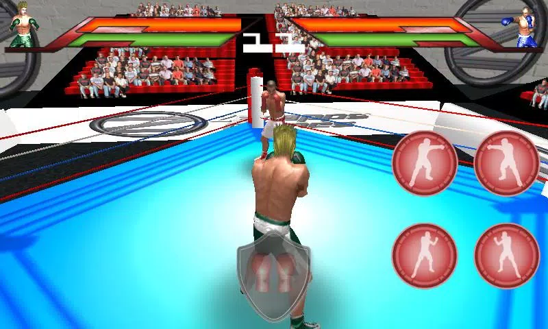 Virtual Boxing應用截圖第2張