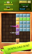 Block Puzzle Wood 88應用截圖第2張