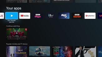 Live channels launcher স্ক্রিনশট 2