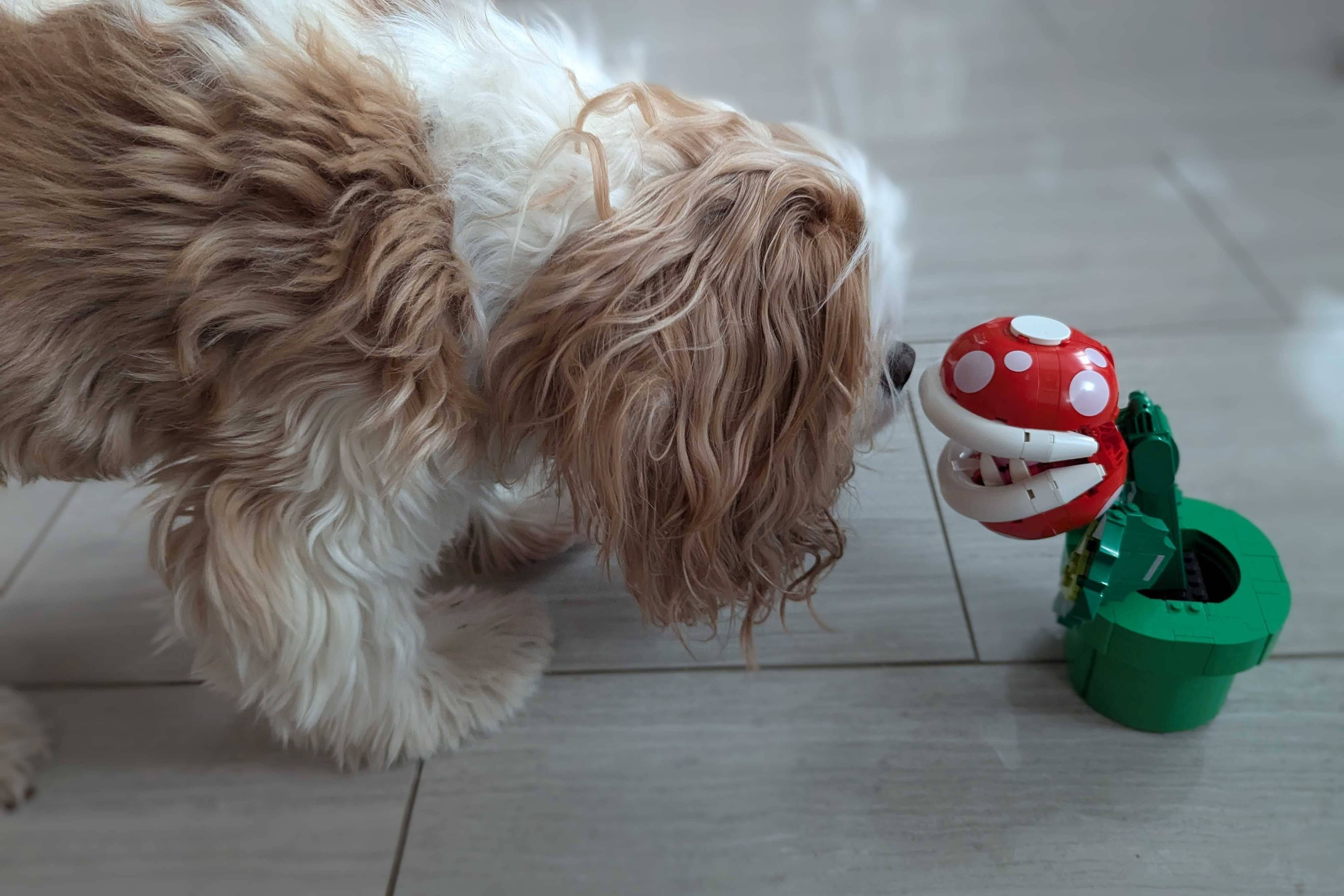LEGO Piranha Plant Build