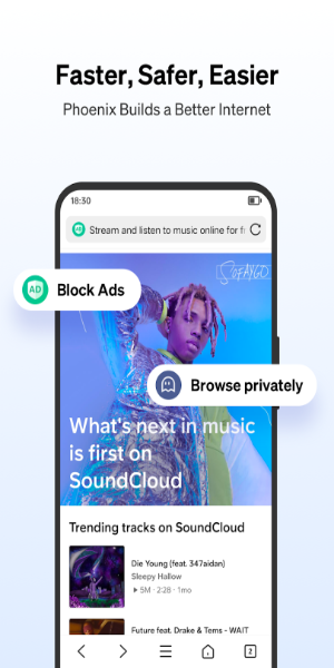 Phoenix Browser-Privat.Schnell Screenshot 0
