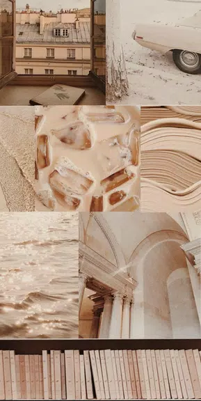 aesthetic background應用截圖第1張