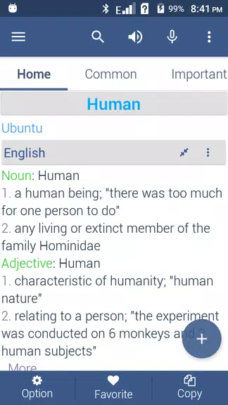 Zulu Dictionary Offline Screenshot 2