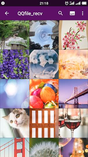 Smart Gallery - Photo Manager應用截圖第1張