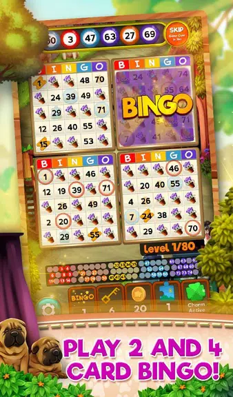 Bingo Pets Party: Dog Days ภาพหน้าจอ 0