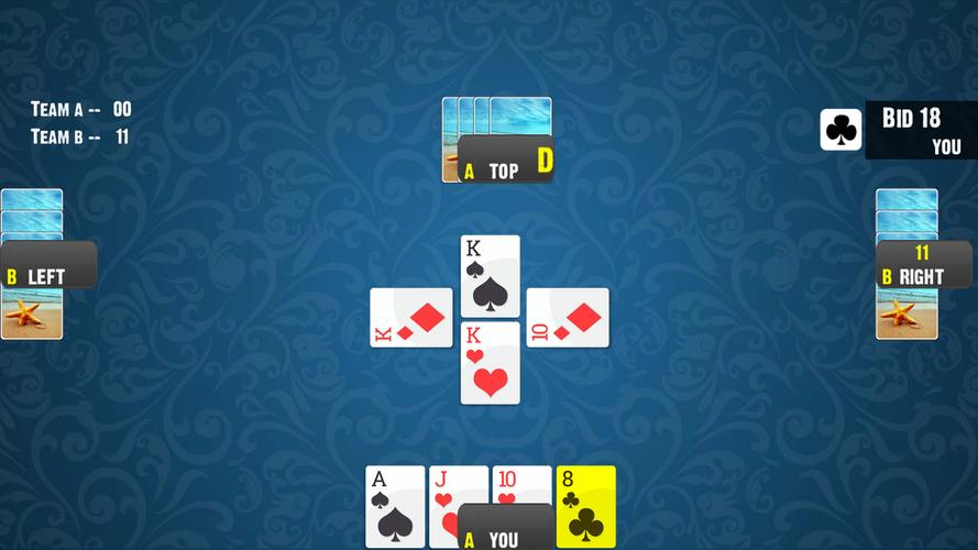 28 Card Game:Offline Card Game スクリーンショット 0
