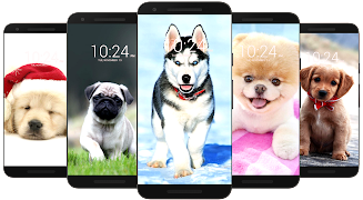 Dog Wallpaper HD スクリーンショット 1