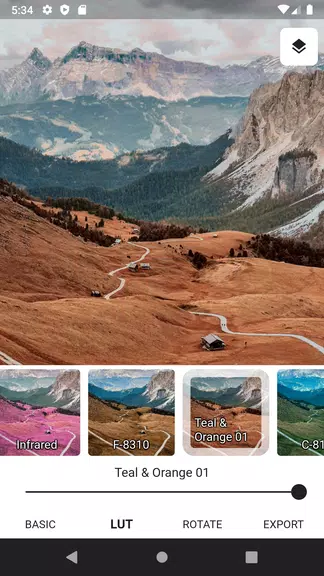 3DLUT mobile 2應用截圖第2張