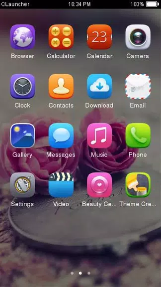 Pink Roses Theme C Launcher Скриншот 1