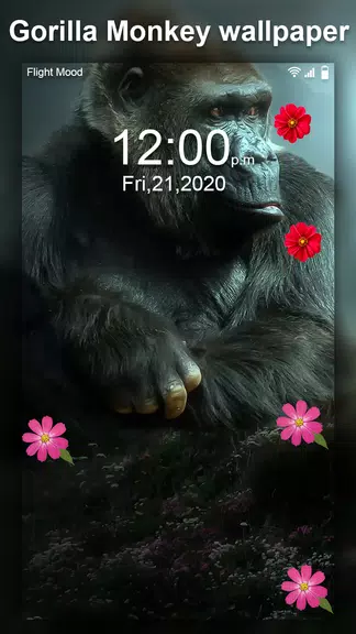 Gorilla Monkey Live Wallpaper應用截圖第2張