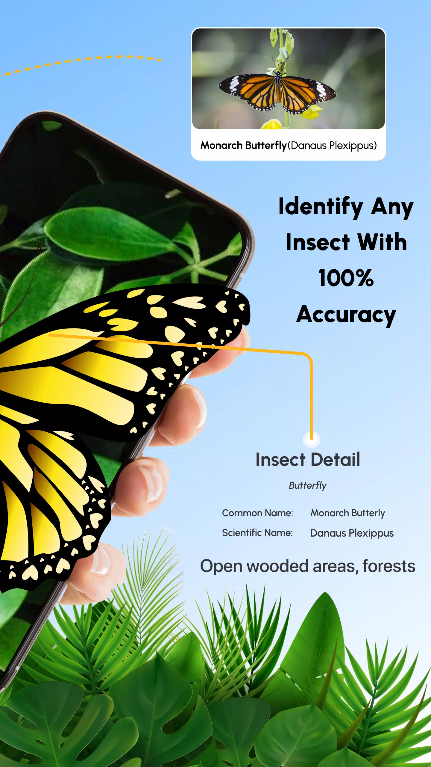 Insect Identifier Bug Identify应用截图第1张