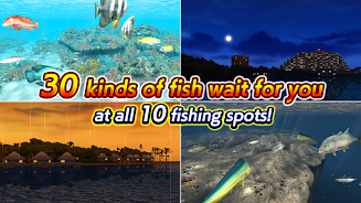 Excite BigFishing Ⅲ Zrzut ekranu 3