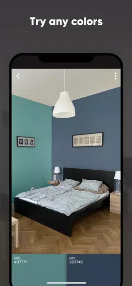 Paint my Room - Try wall color應用截圖第2張