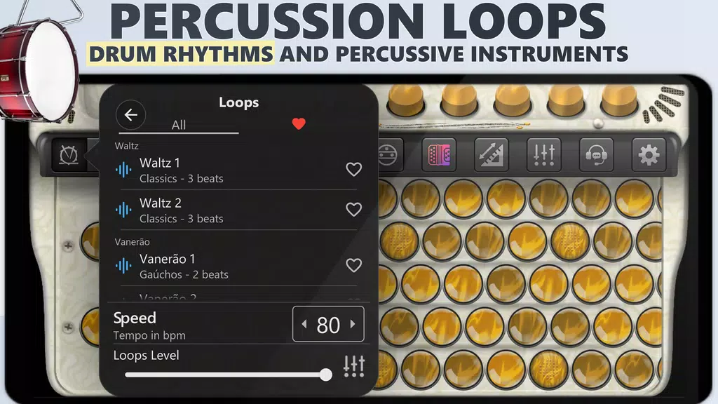 Accordion Chromatic Master 스크린샷 2