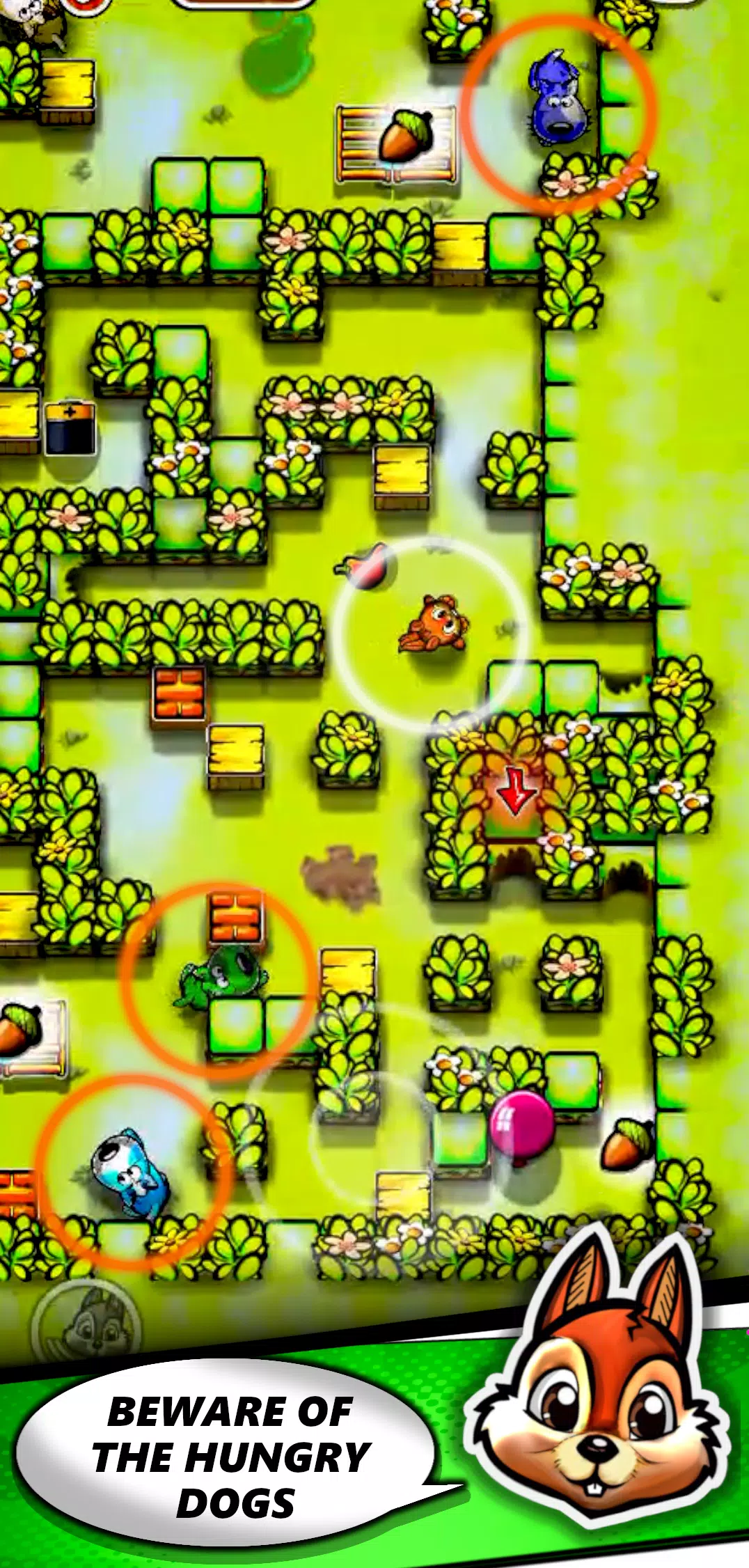 Squirrel Maze Escape應用截圖第0張