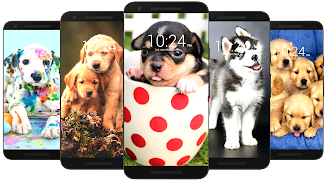 Dog Wallpaper HD スクリーンショット 3