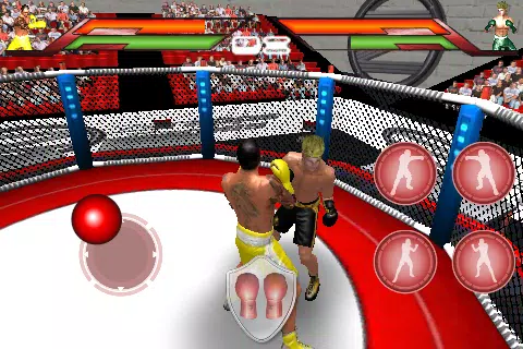 Virtual Boxing應用截圖第0張