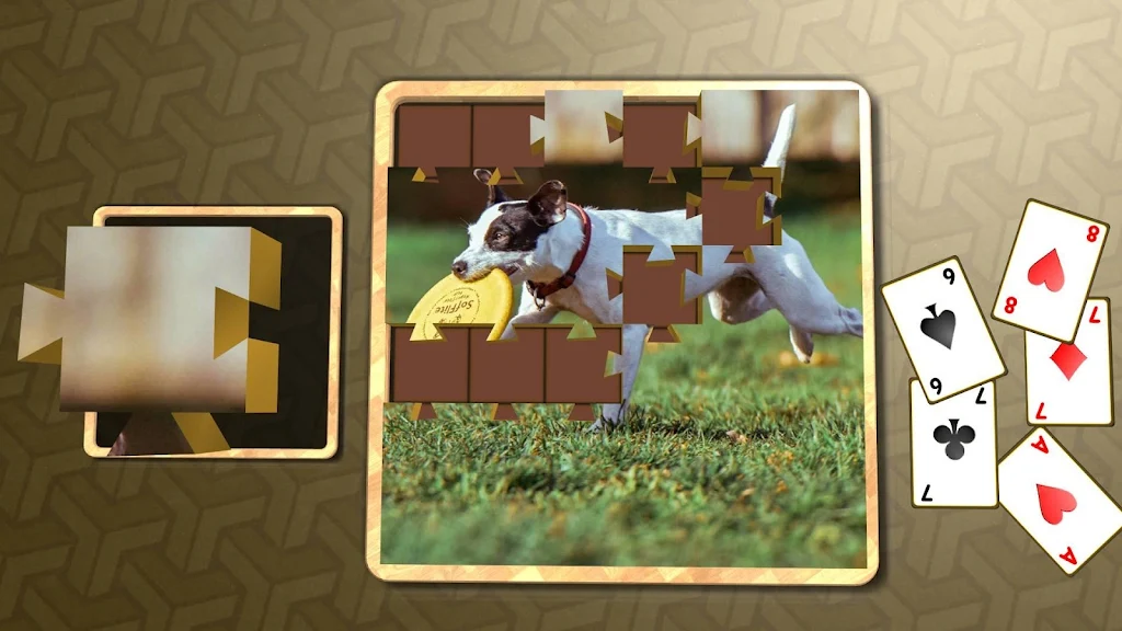 Jigsaw Solitaire - Dogs应用截图第3张