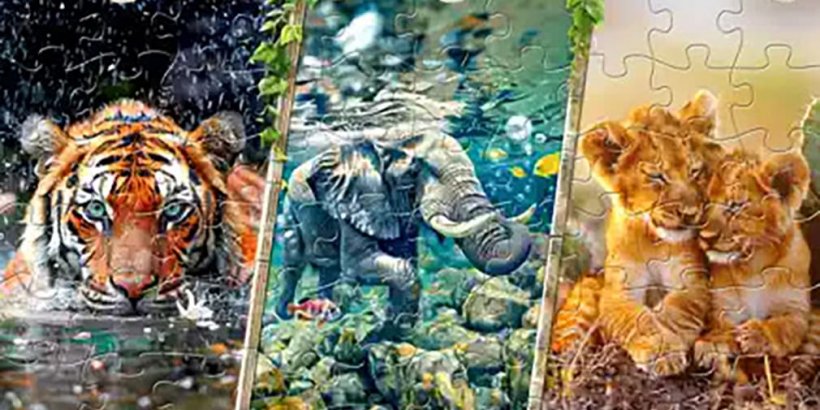 side by side images of a tiger in a river, a swimming elephant and two snuggling lion cubs puzzles