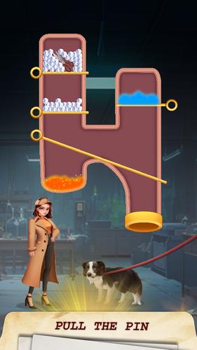 Pin Detective Скриншот 1