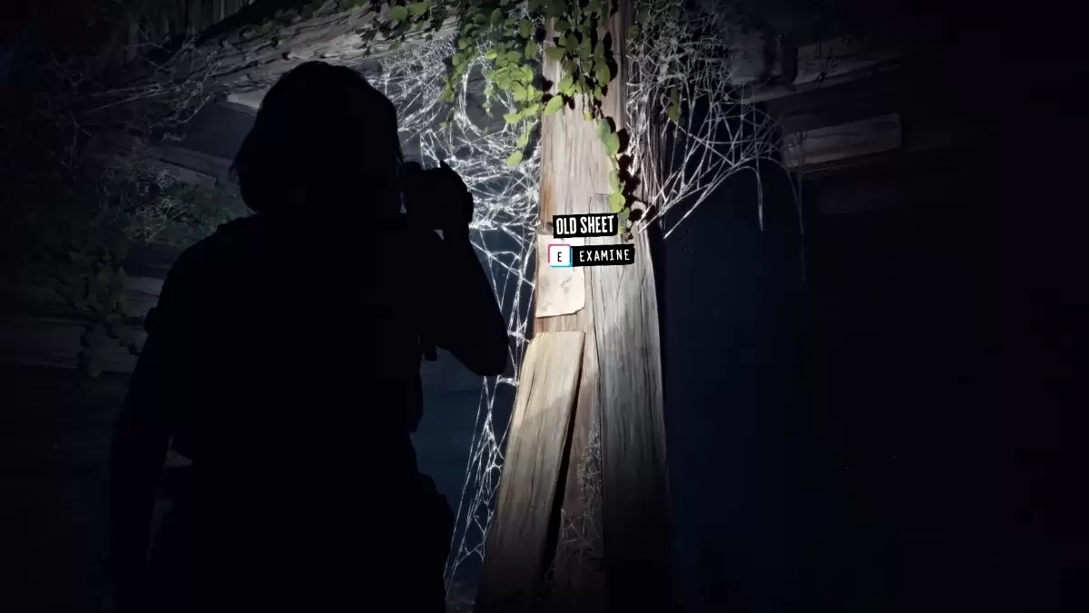 Кабинный замок в Lost Records Bloom and Rage