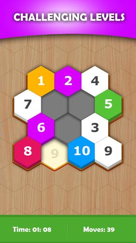 Hexa Sort Puzzle ภาพหน้าจอ 1
